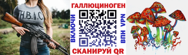 omg как зайти  darknet какой сайт  Галлюциногенные грибы Psilocybe  Ялта 